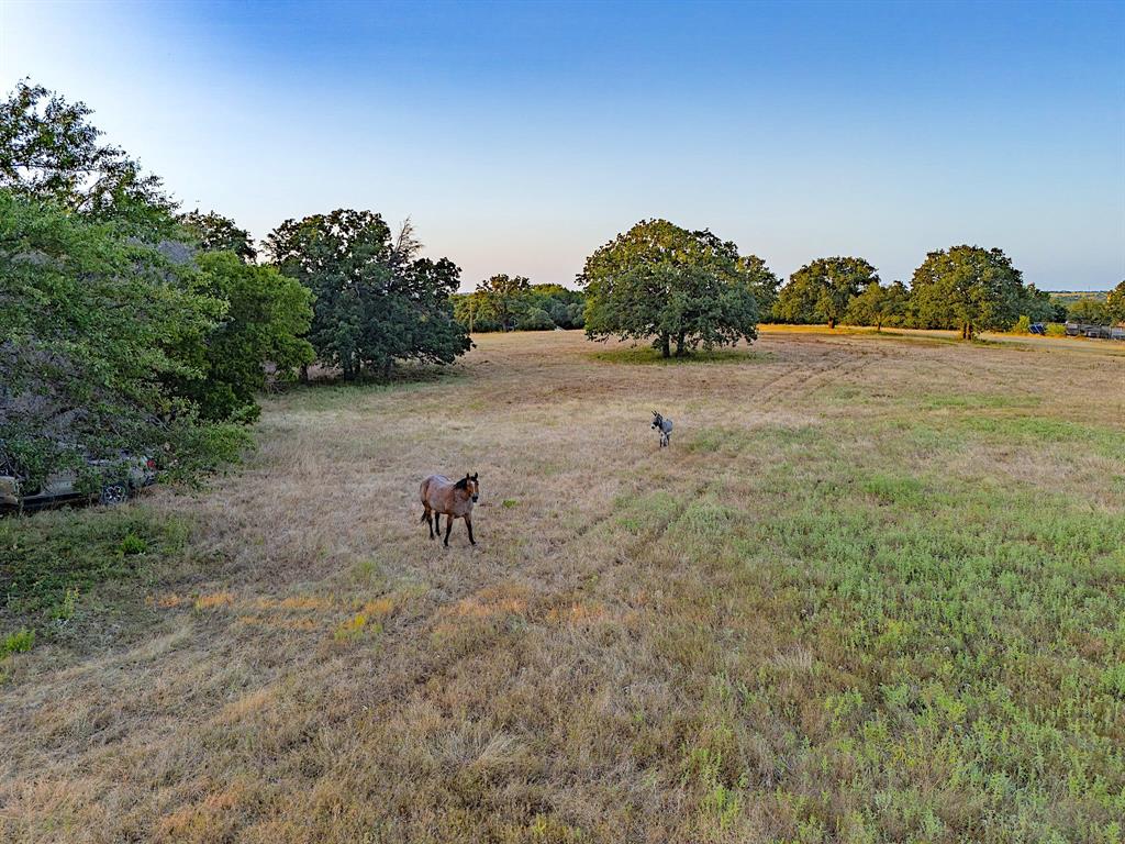 2403 County Road 2224 — photo