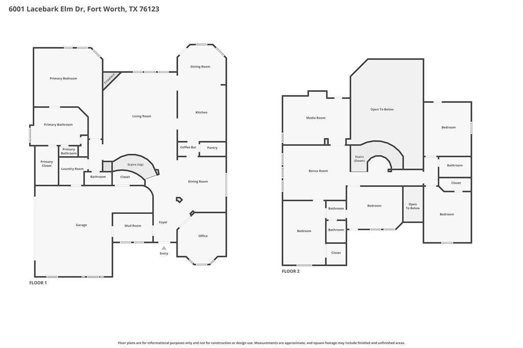 6001 Lacebark Elm Drive — photo