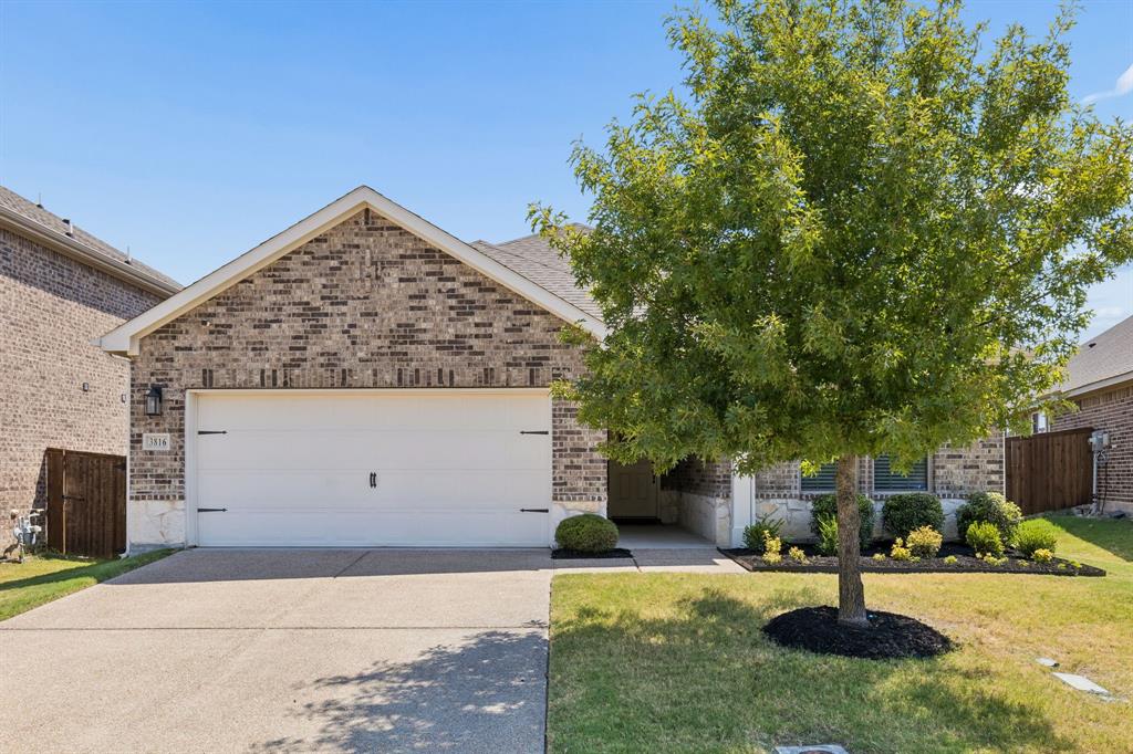 3816 Chicory Court — photo