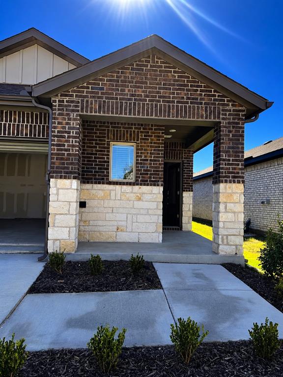 3305 Sedge Grass — photo