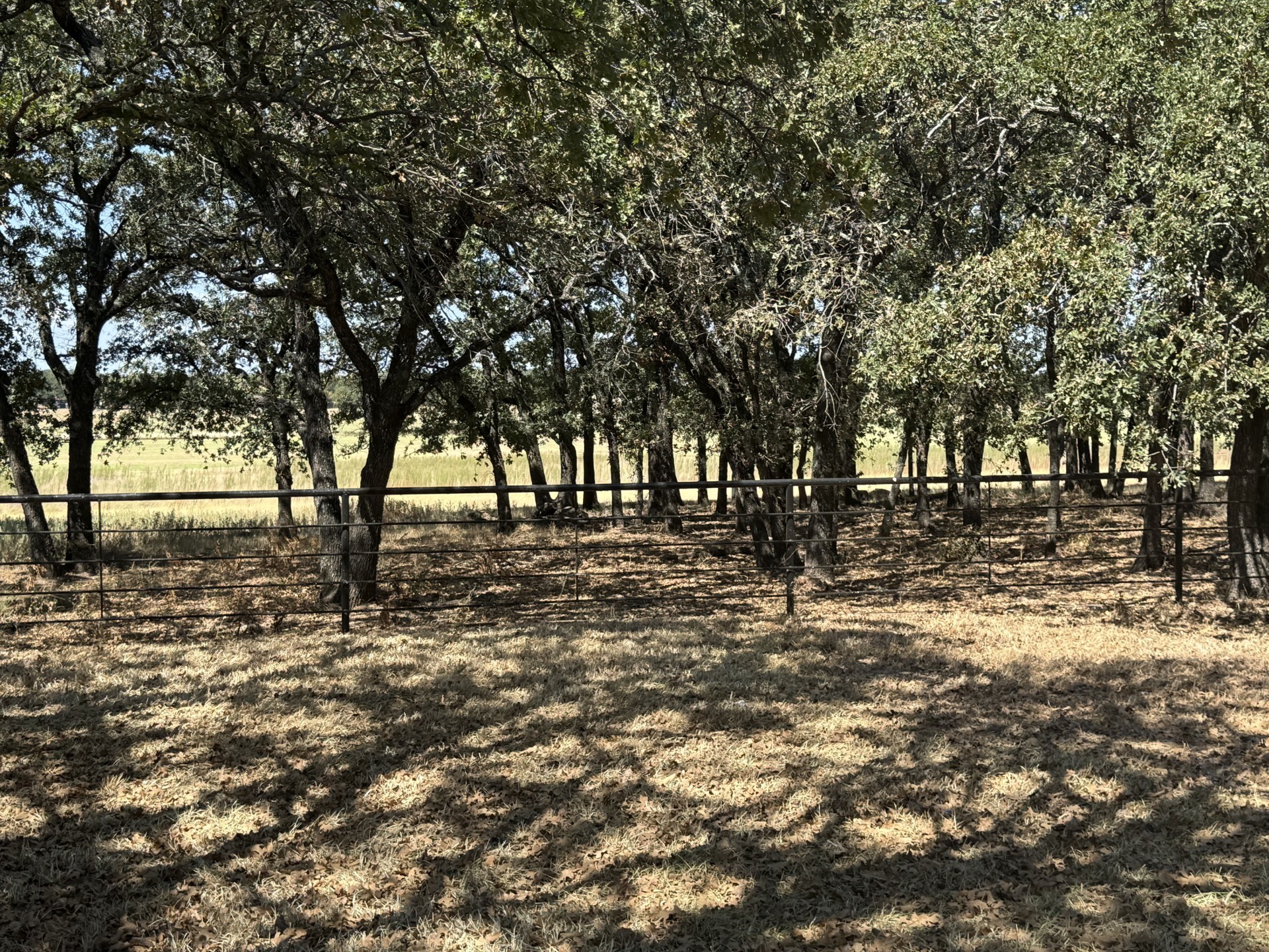 986 County Road 1785 — photo