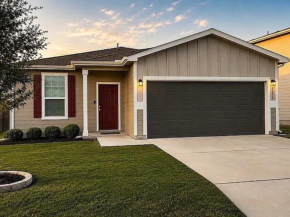 6811 Ashcat — photo