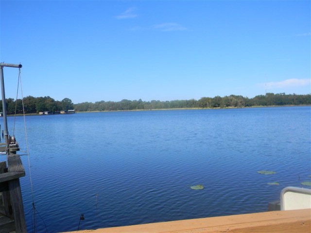 6415 Athens Fish & Game, Athens, TX 75752 — photo 3