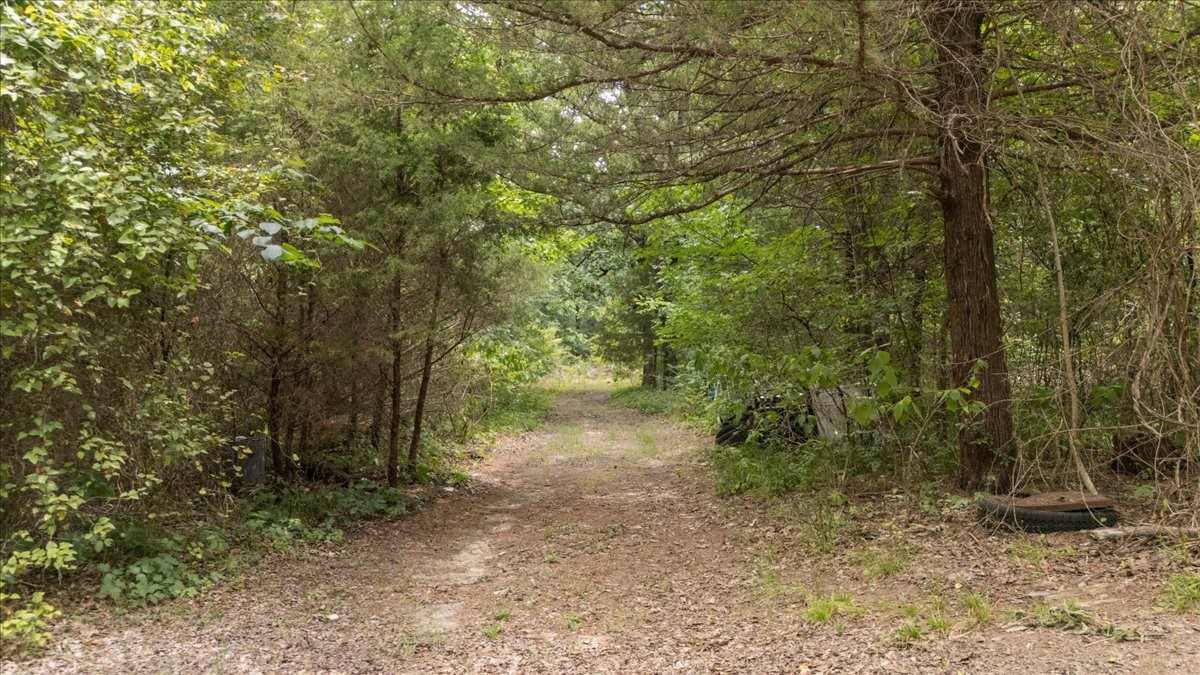 404 Pr 6227 — photo