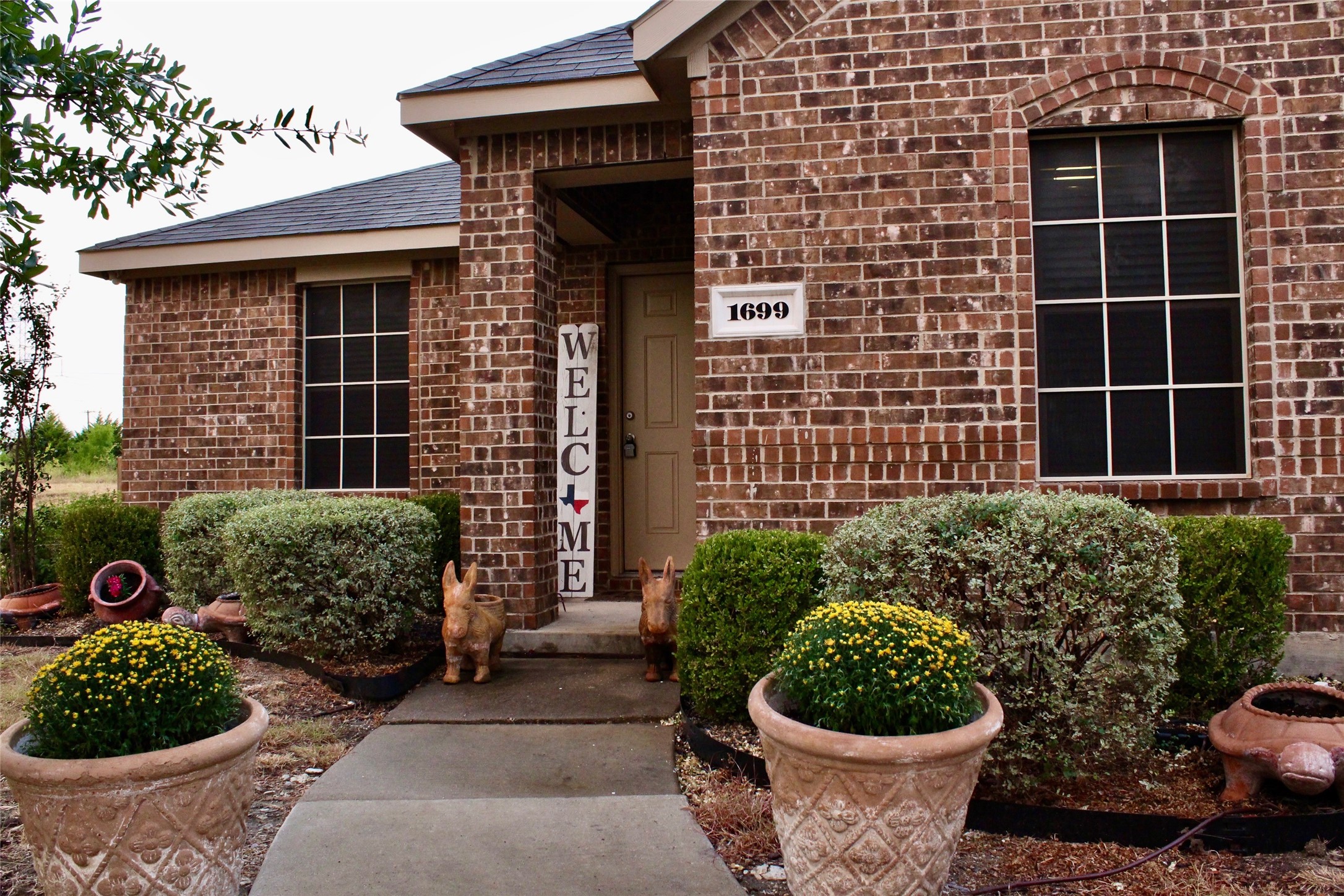 1699 Eagle River Trail, Lancaster, TX 75146 — photo 2