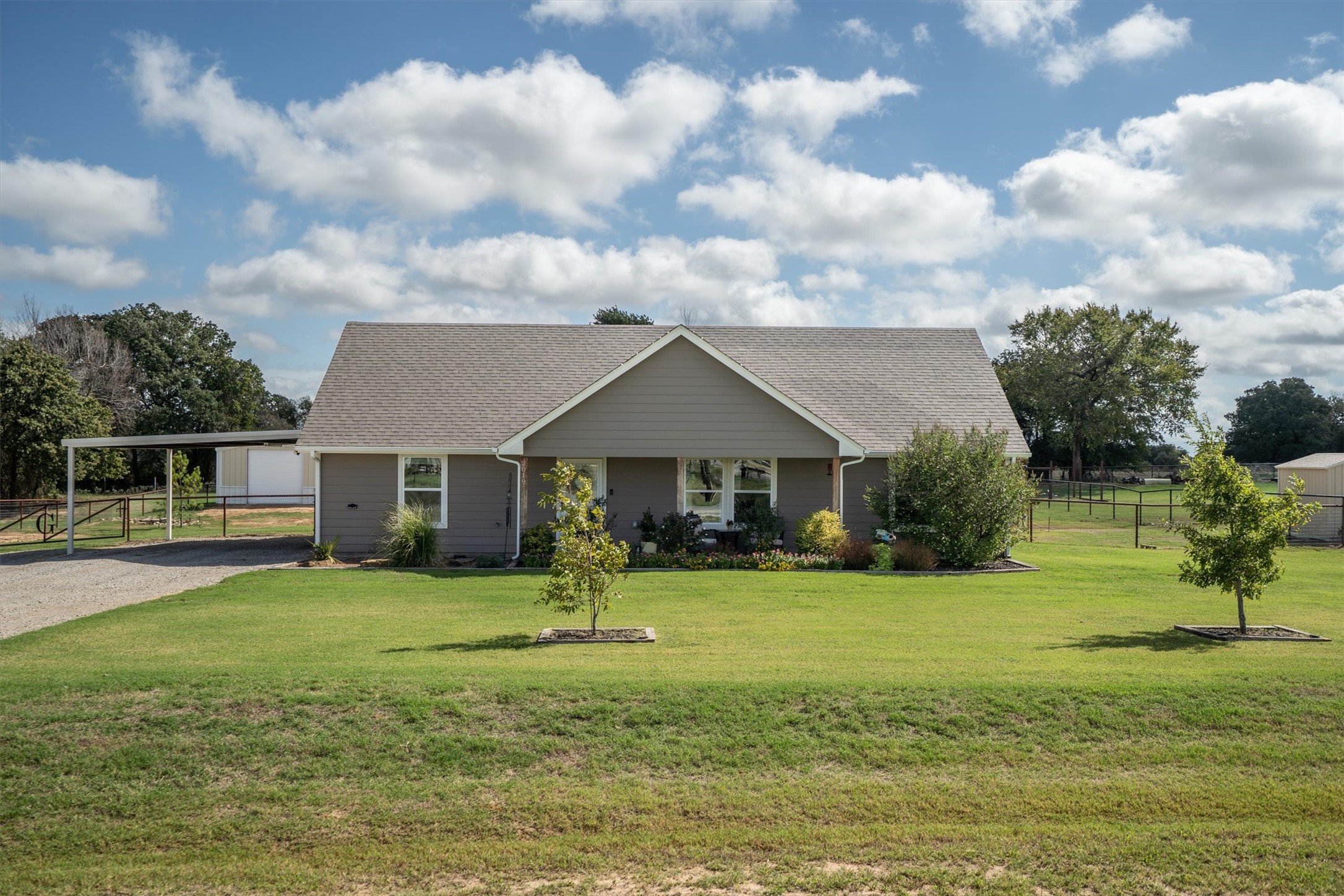 2019 Brown Loop — photo