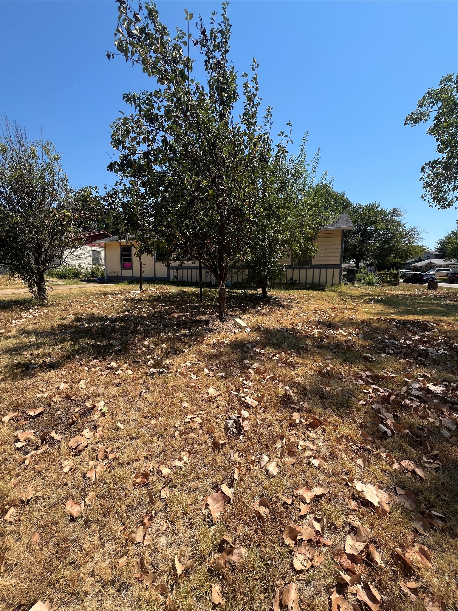 1002 Collin Drive — photo