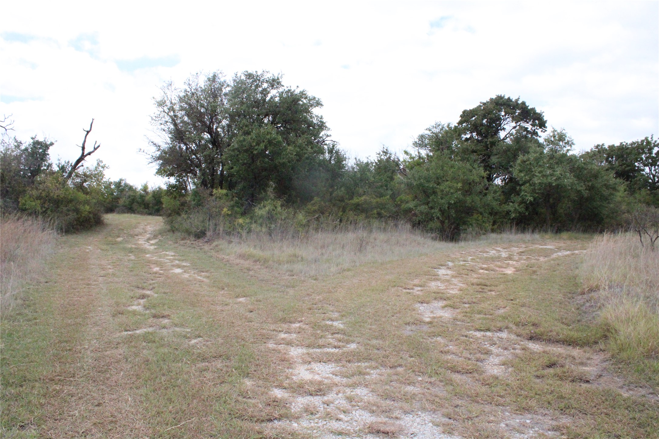 13125 Hwy 183 N — photo