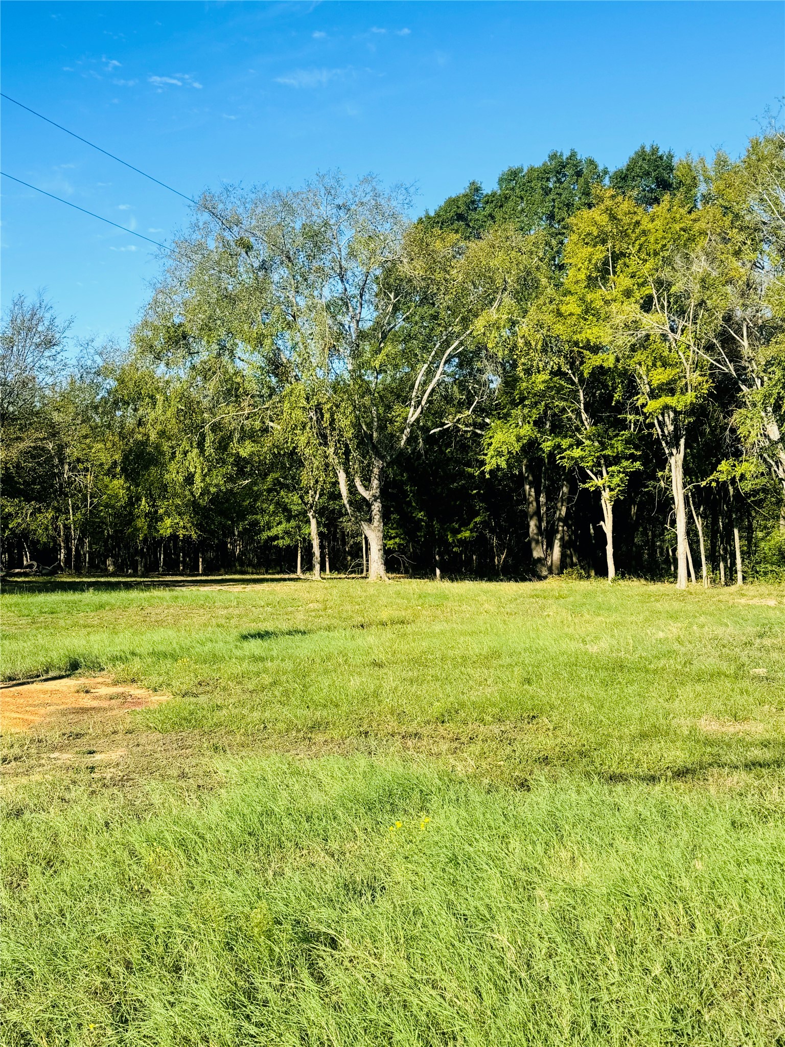 9250 FM 59 — photo