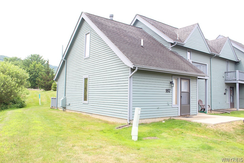 187 Wildflower — photo