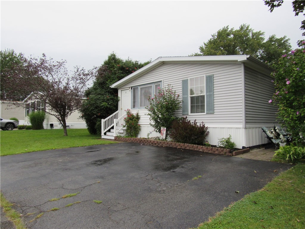 11 Sycamore — photo