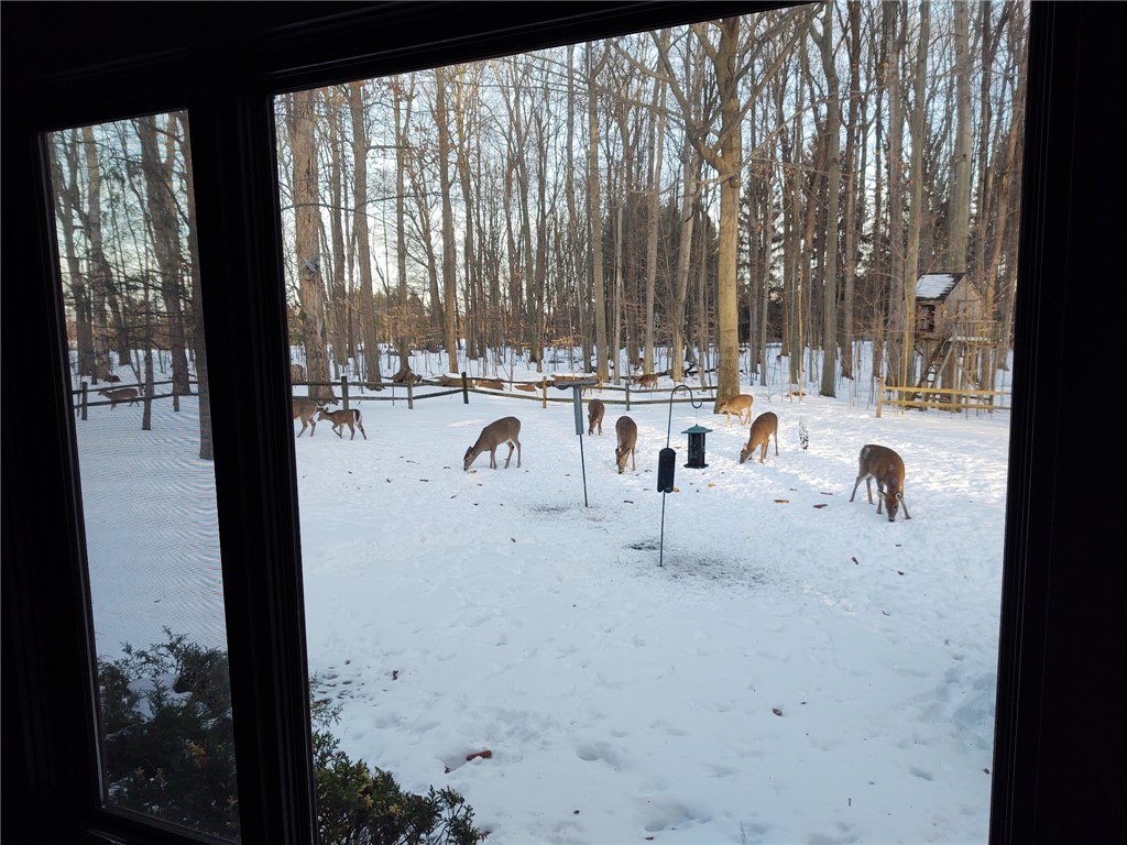 562 West Bloomfield Road — photo