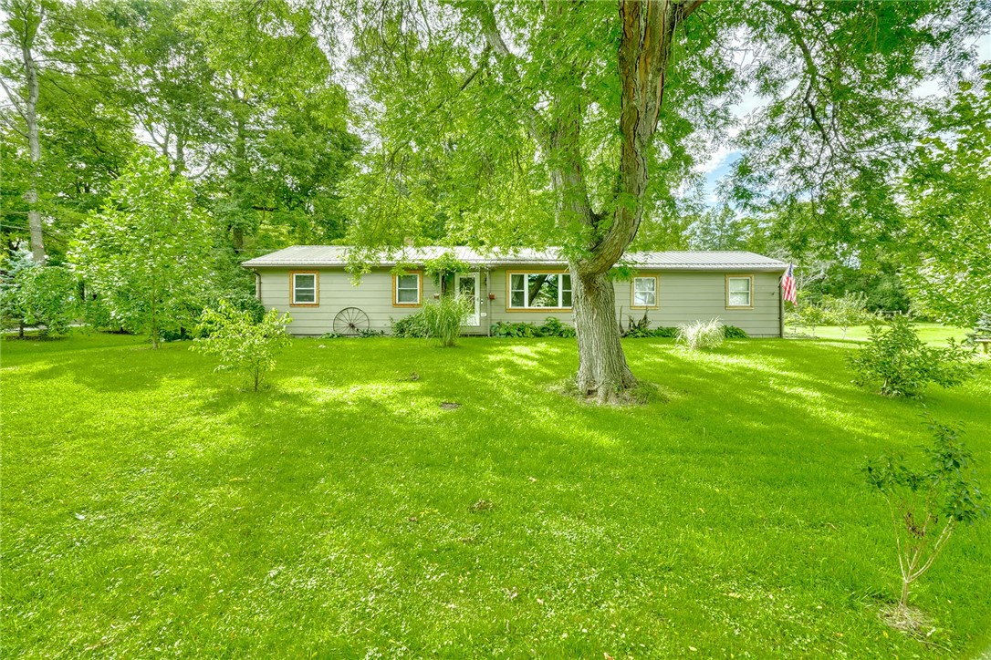 8 Bassett Street — photo