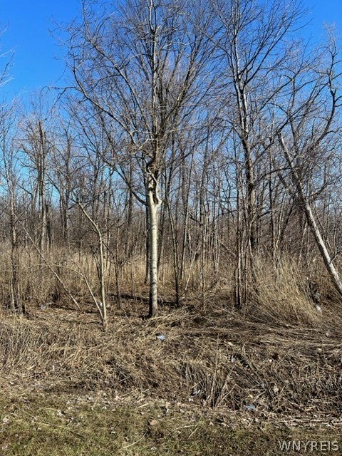 0 Wilson Avenue S — photo