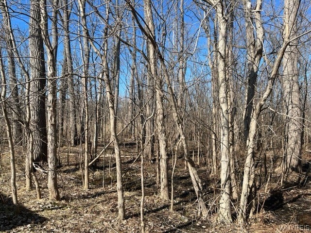 0 Wilson Avenue S — photo