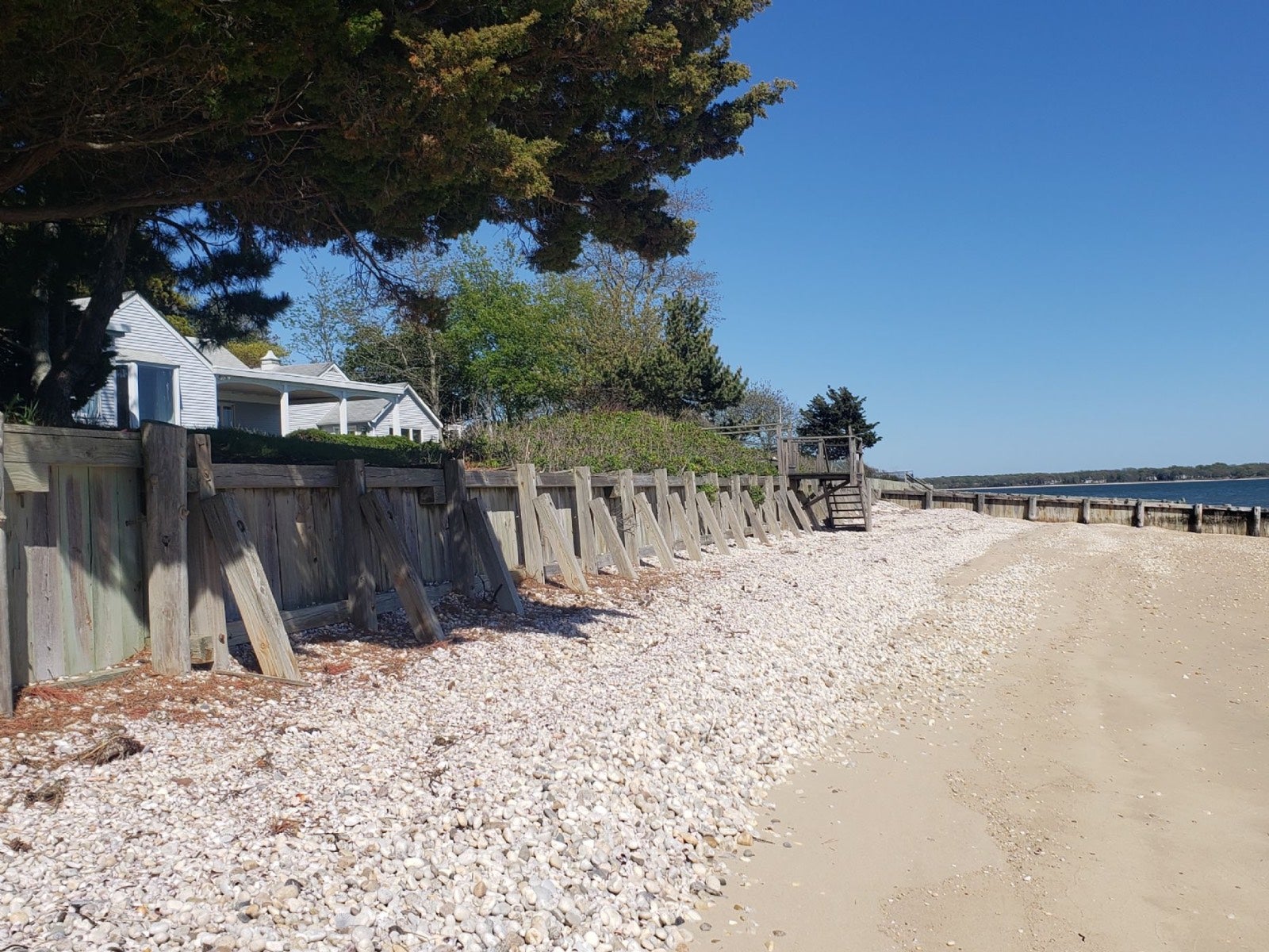 100 Peconic — photo