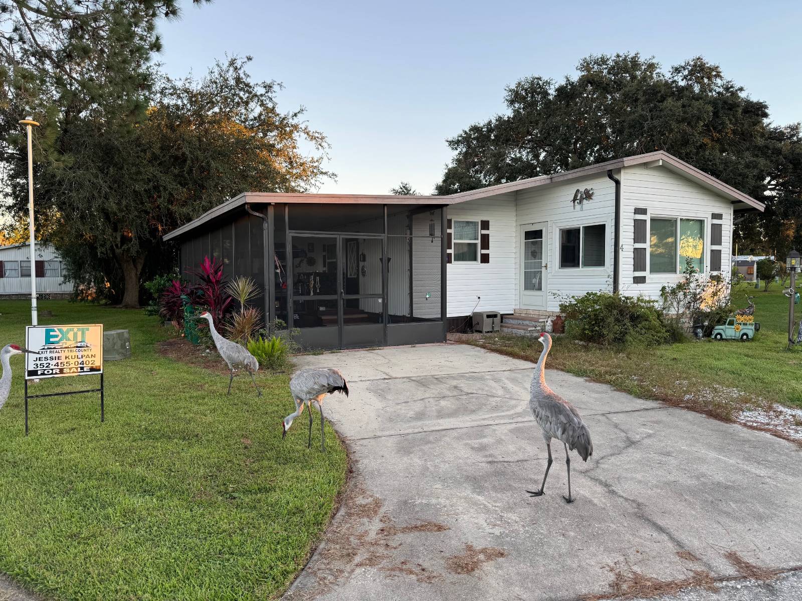 4 Pearl Dr, Eustis, FL 32726 — photo 3
