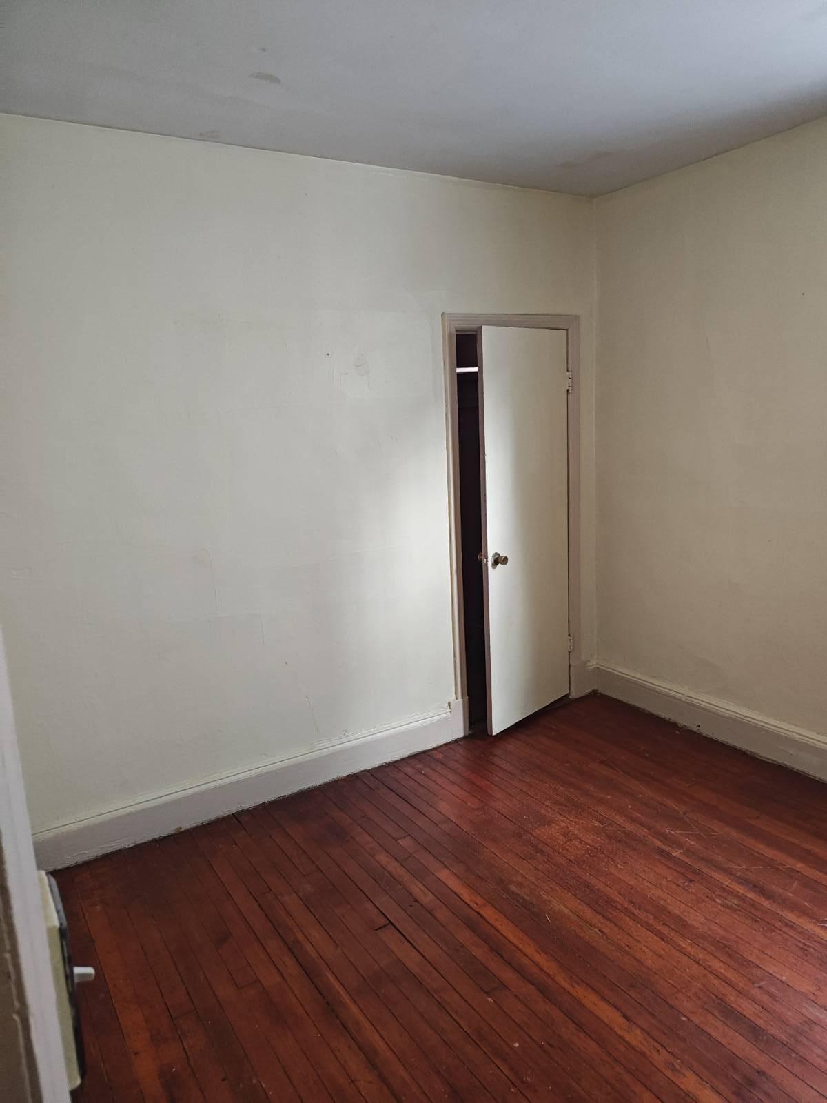 118 Winter Avenue 1st Floor — photo