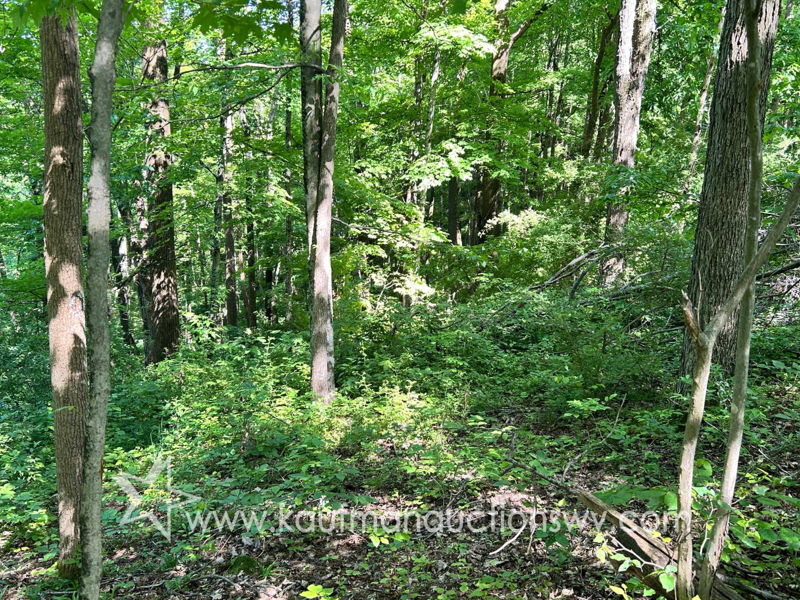 0 Hoyt Ridge - Anderson Ridge, Littleton, WV 26581