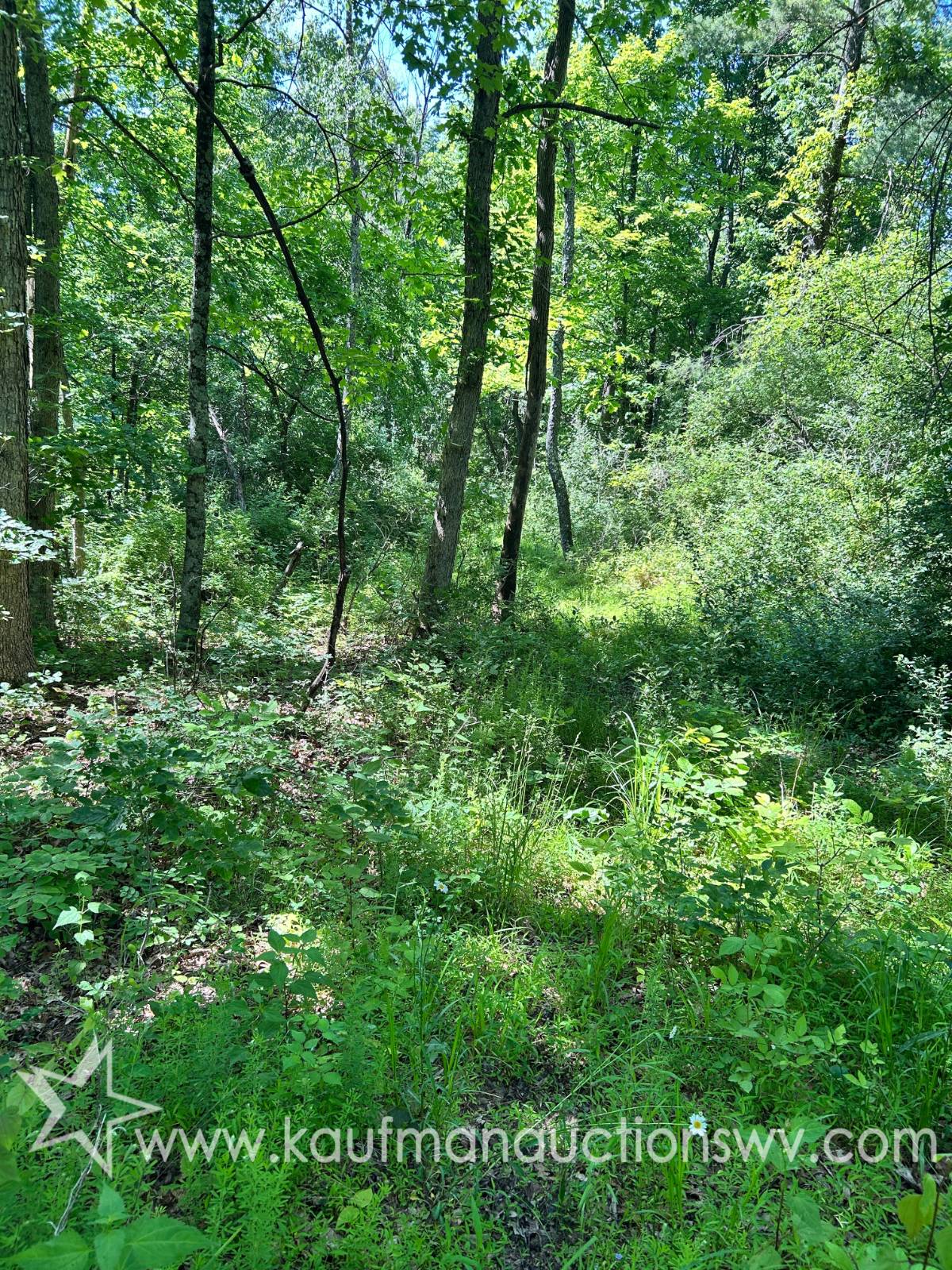 0 Hoyt Ridge - Anderson Ridge, Littleton, WV 26581 — photo 2