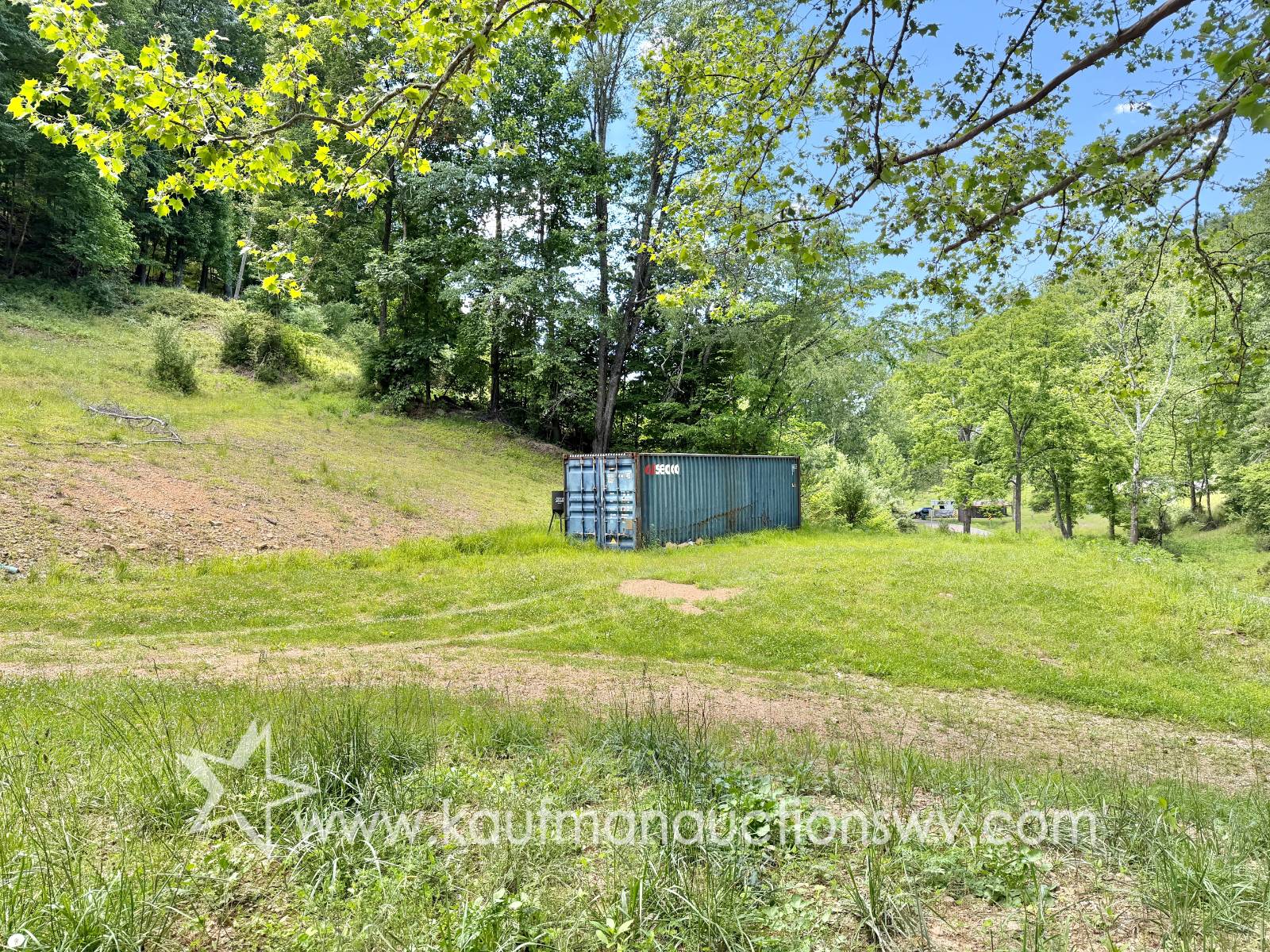 3219 Copen Rd, Copen, WV 26615