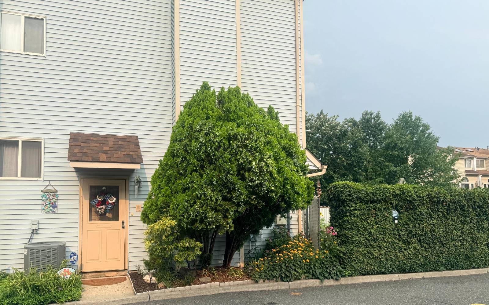 15 Phyllis Court — photo