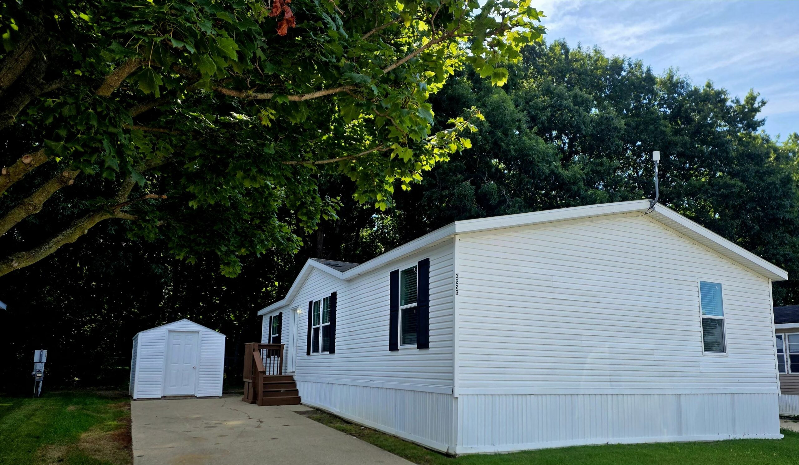 3223 Cypress 0009 — photo
