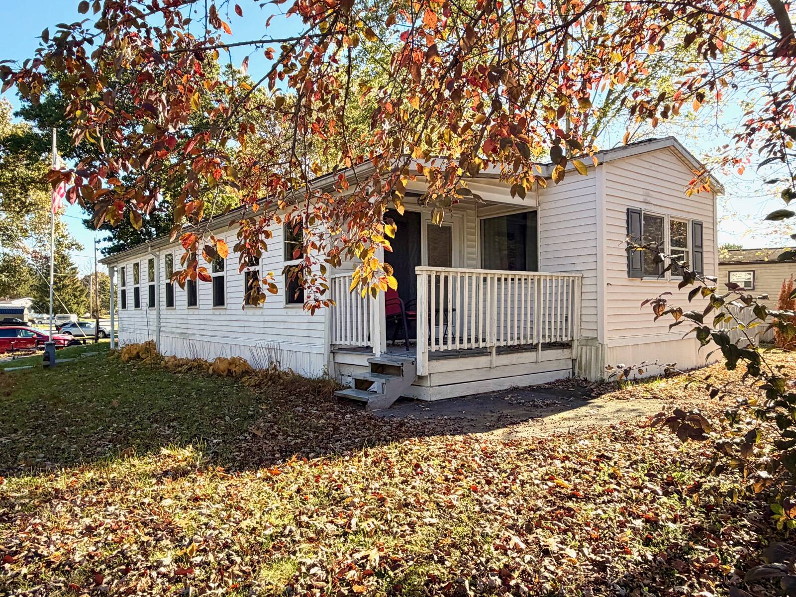 40 Pyramid Pines — photo