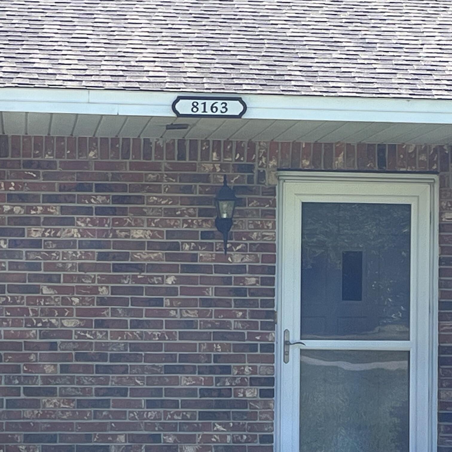8163 Pinosa — photo
