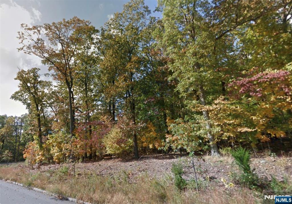 1 Bristol Ridge Road, Boonton Township, NJ 07005 — photo 3