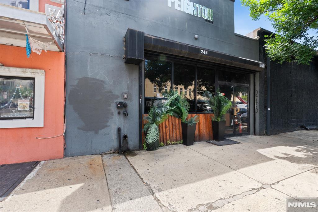 246 Mulberry Street — photo