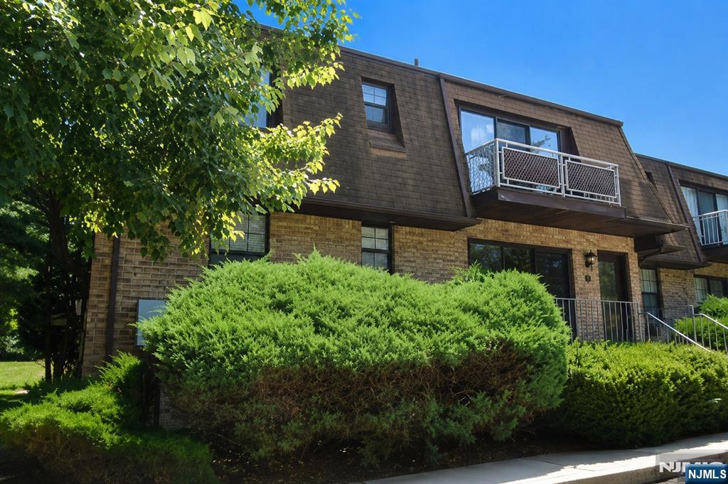 238 Collignon — photo