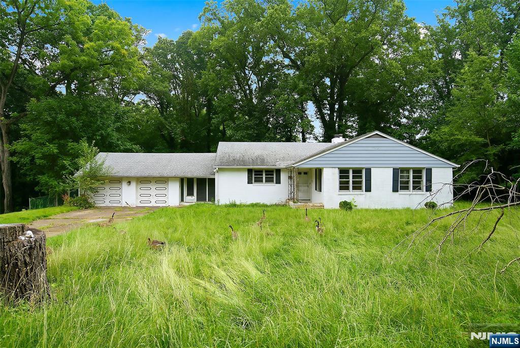 17 Brookdale Drive — photo