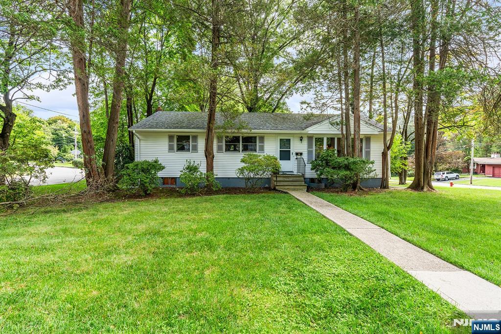 11 Mapleleaf Drive — photo