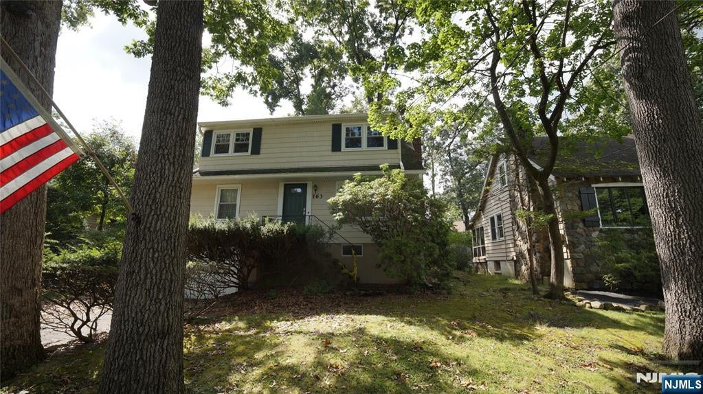 163 Chestnut Drive — photo