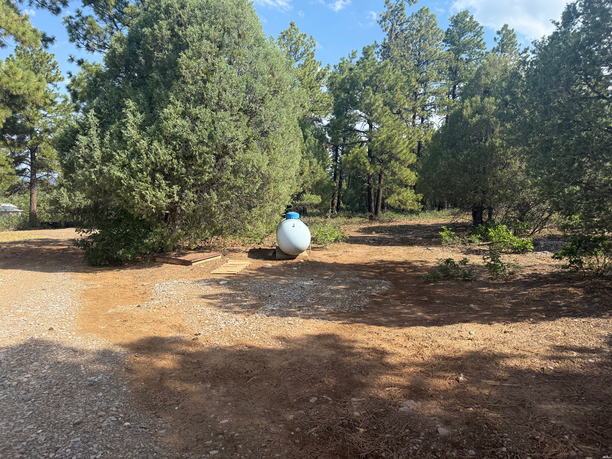 4 Crown Point Rd, Chama, NM 87520 — photo 3