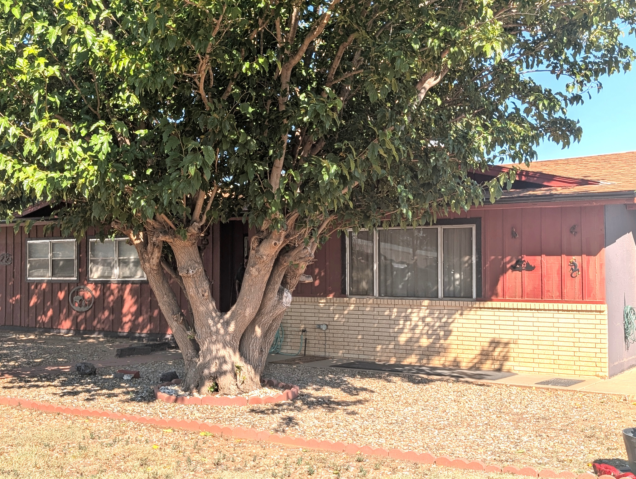 2221 Carolina — photo