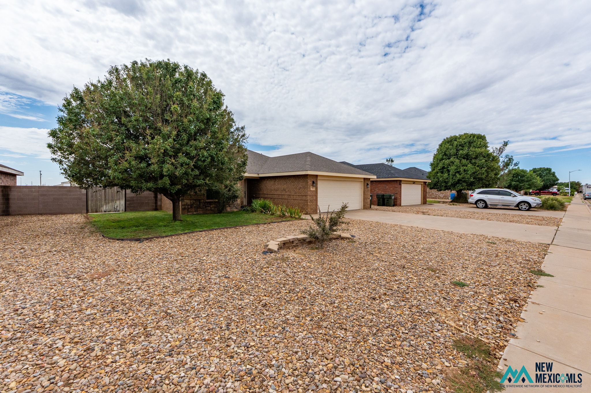 709 Almond Tree — photo