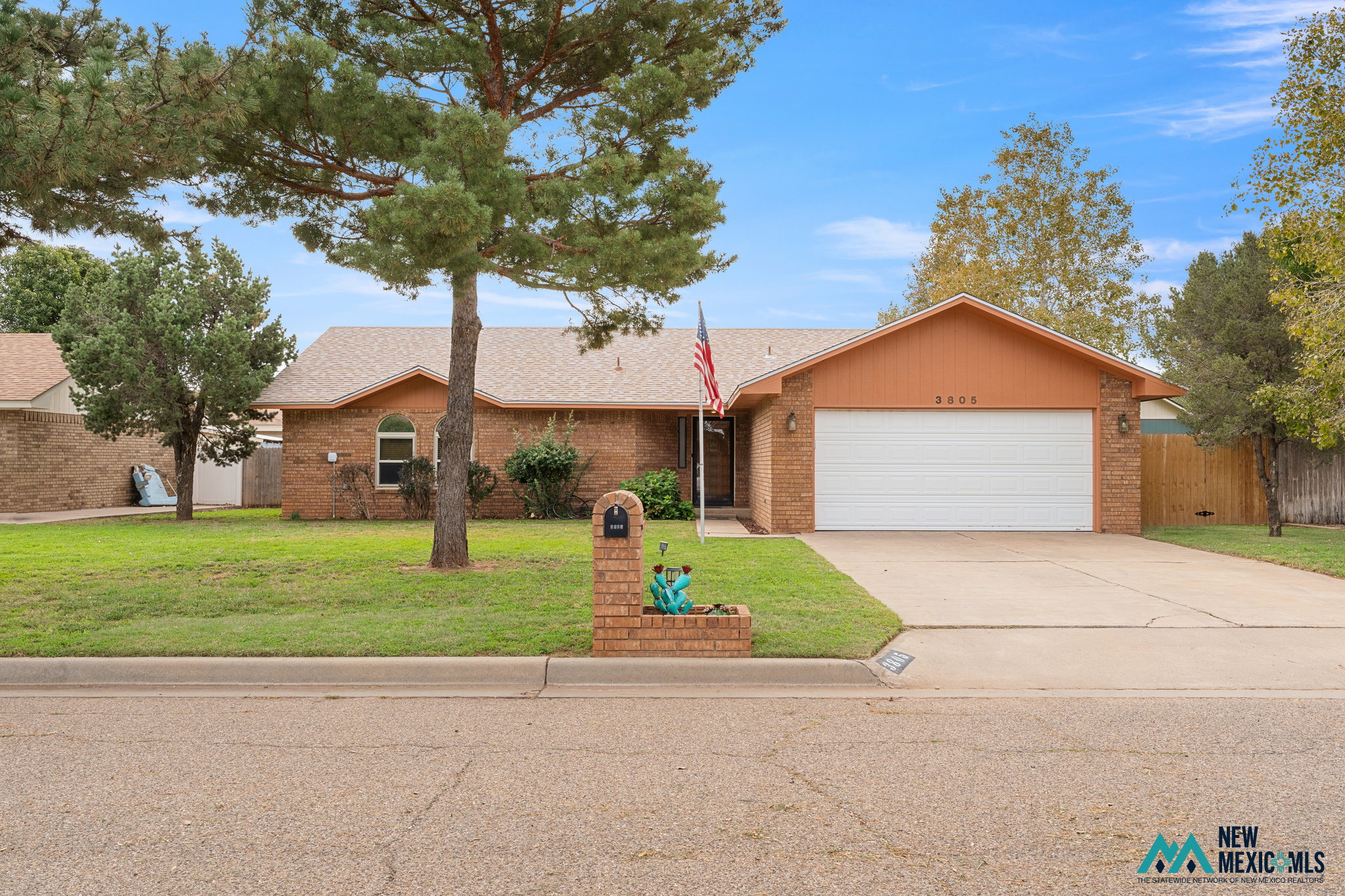 3805 Don January — photo