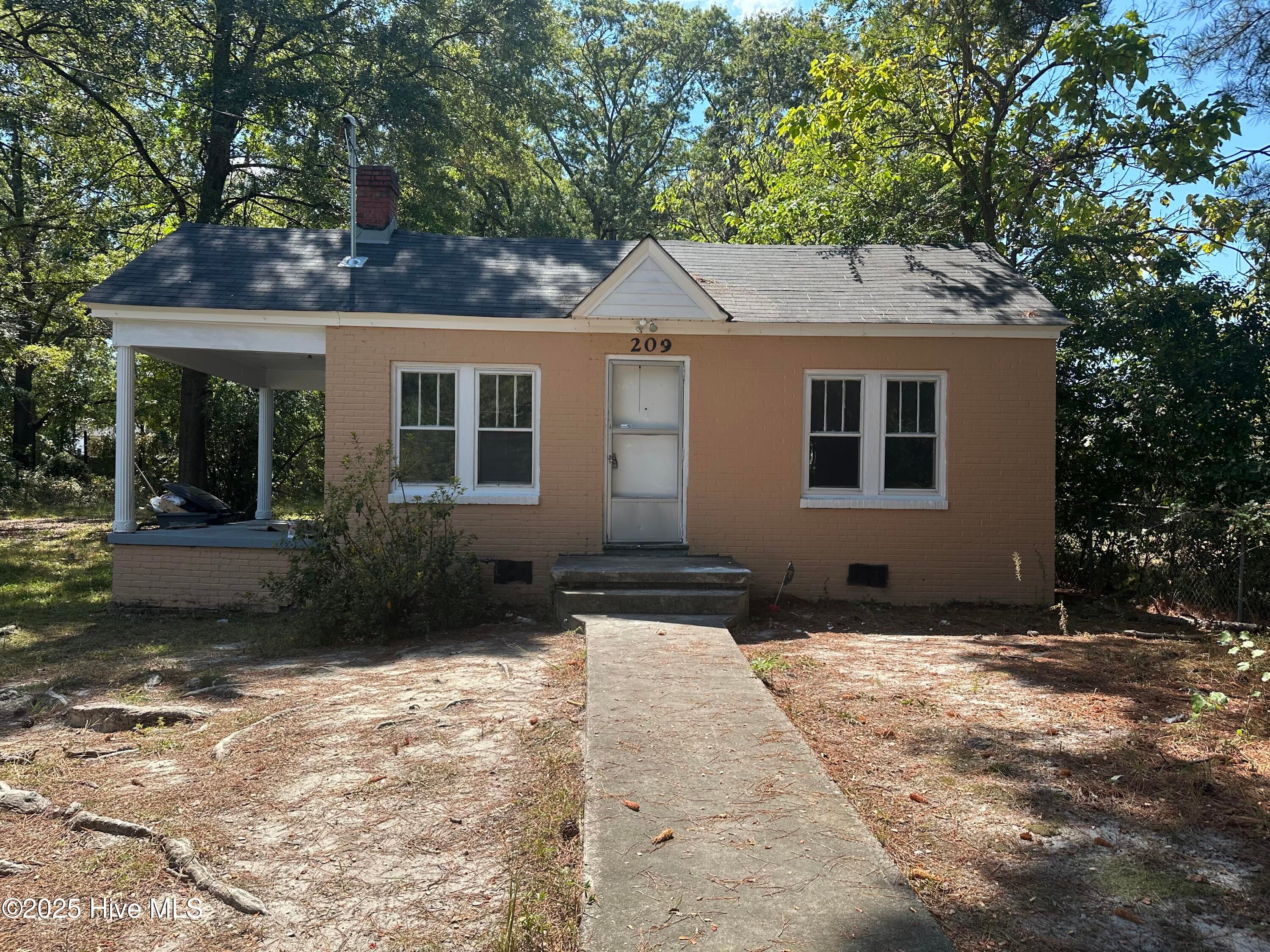 209 Hendricks Street — photo