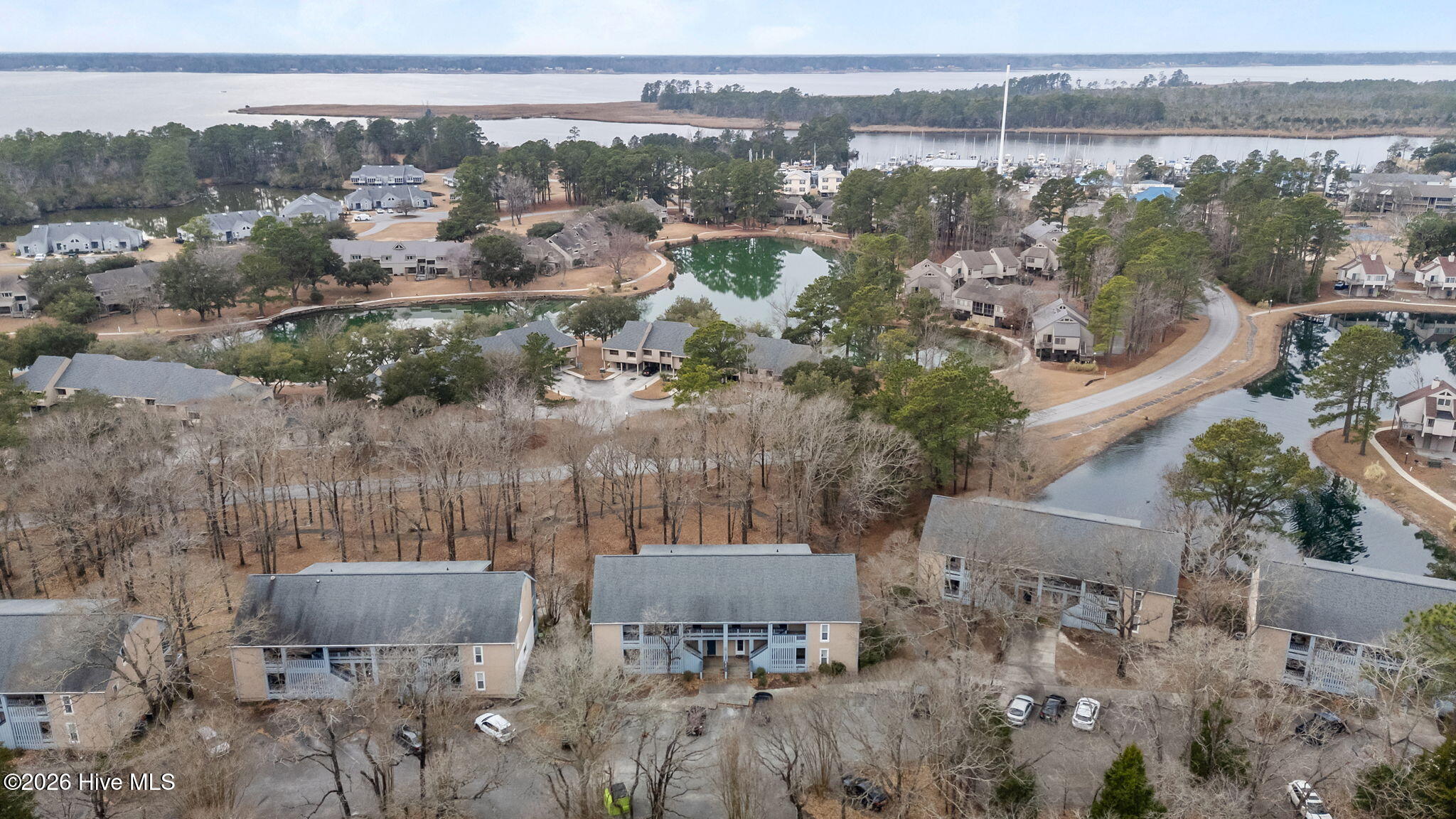1306 Harbourside Drive — photo