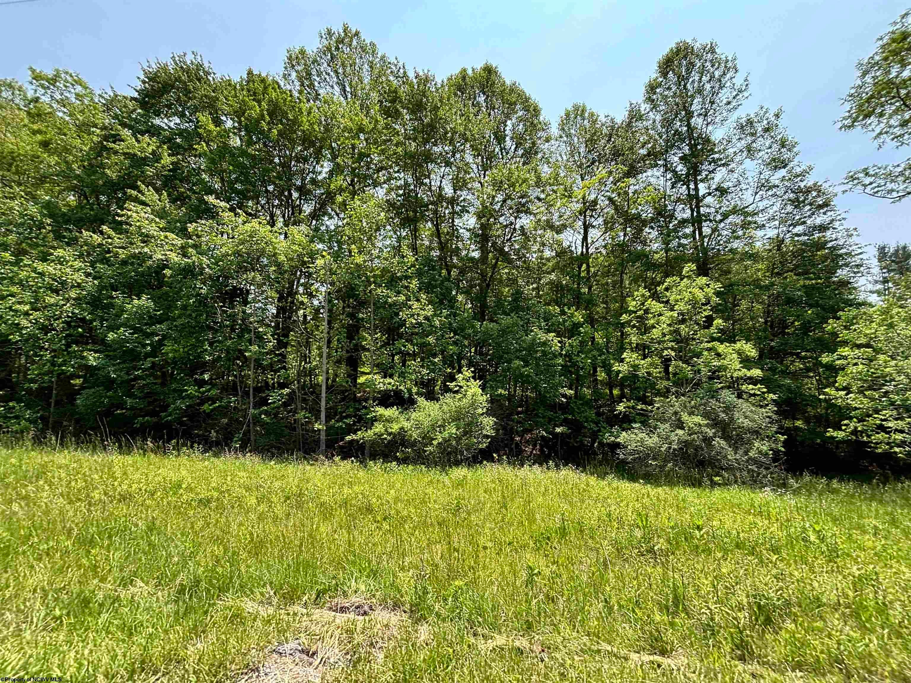 00 Barbour County Highway — photo
