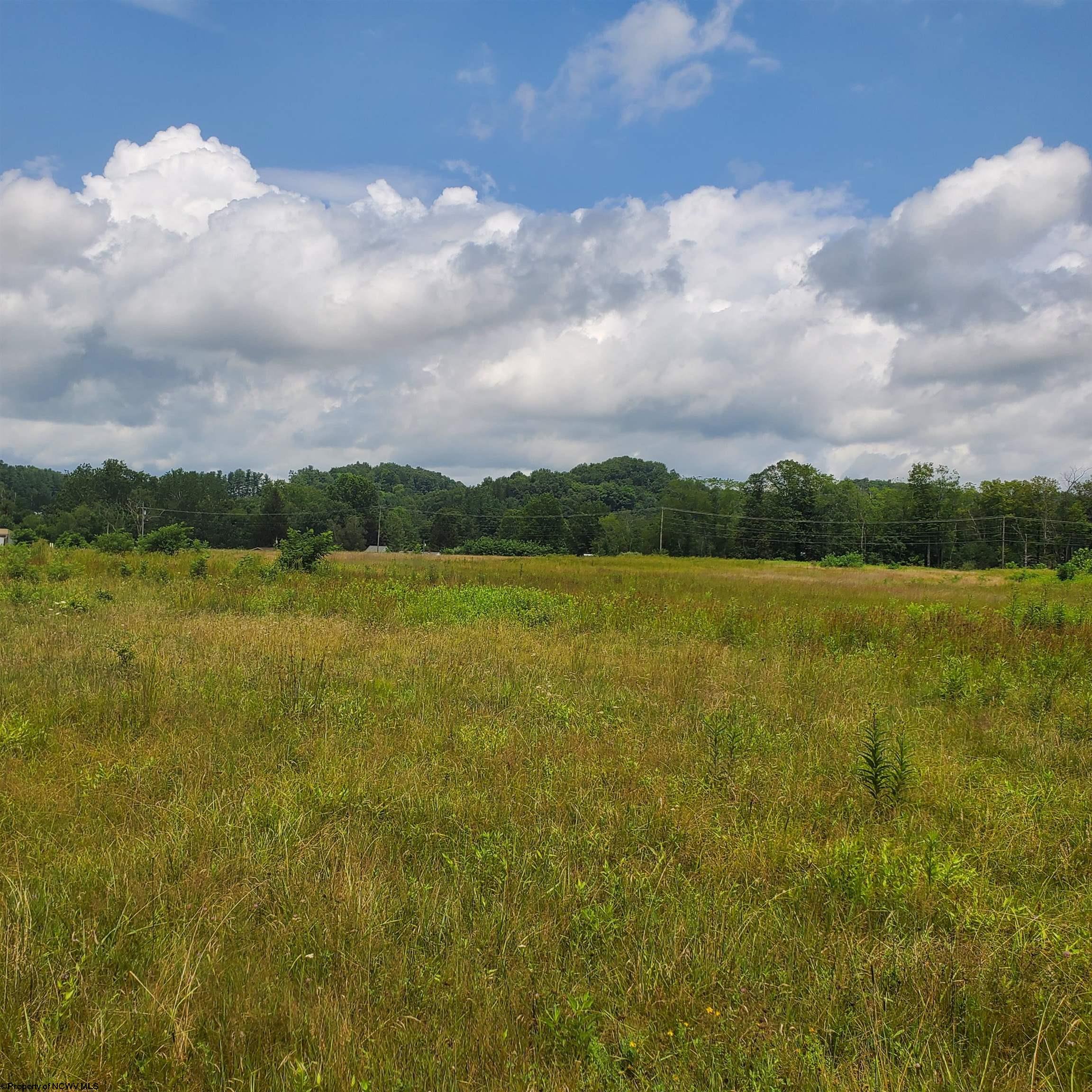 000 Plantation Drive — photo
