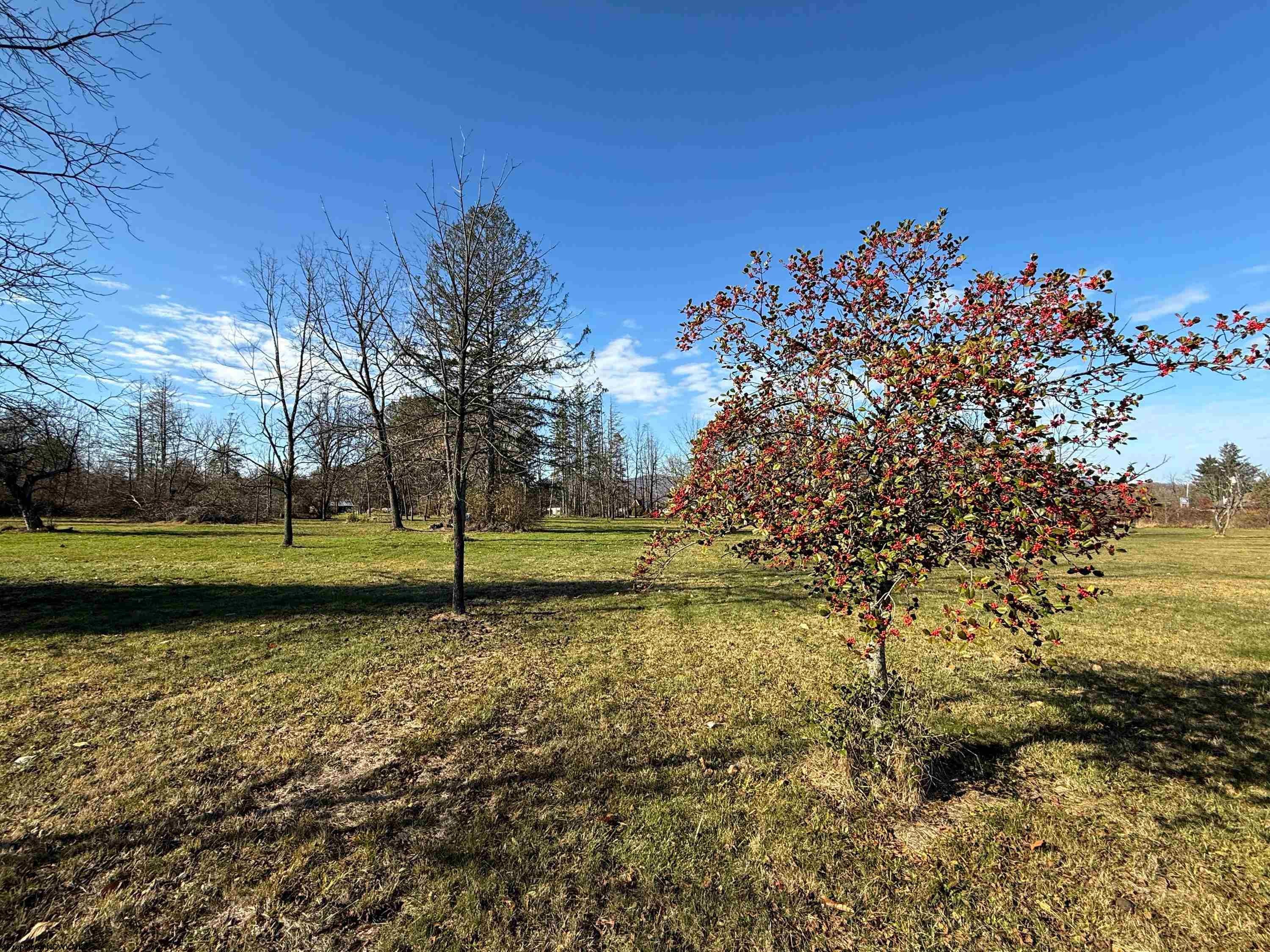Tbd Beverly Pike — photo