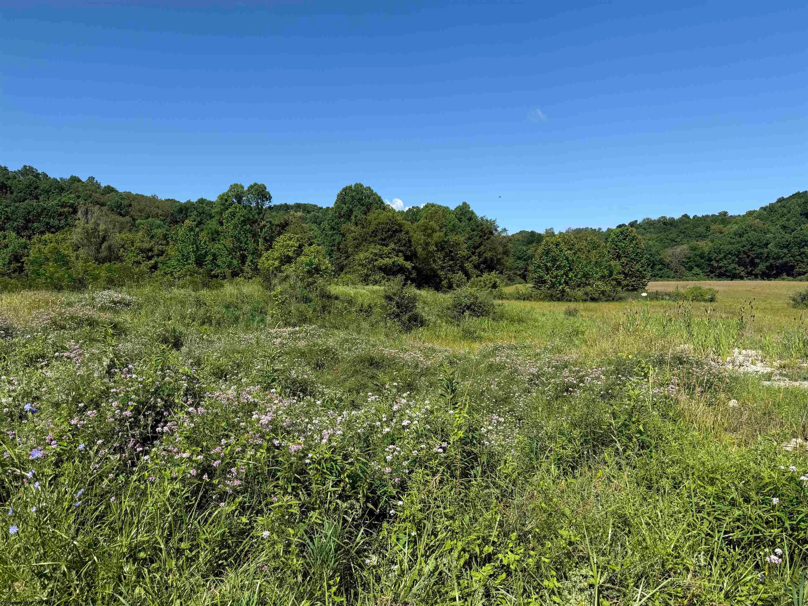 Tbd Middletown Road — photo