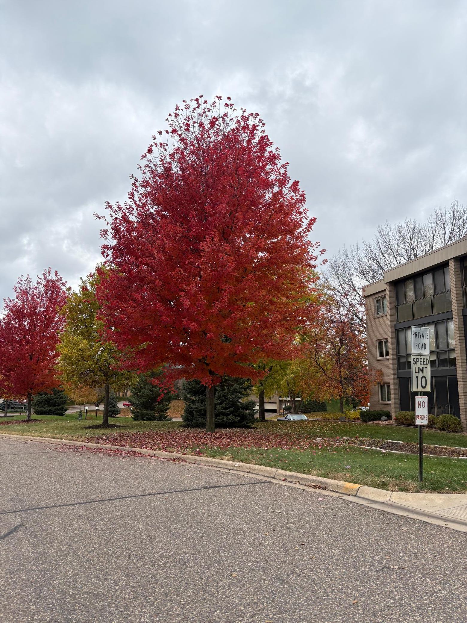 4350 Brookside Court 302 — photo