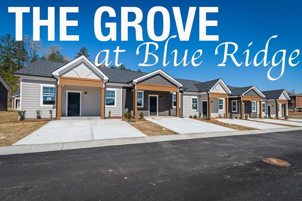 Unit 31 Grove Loop, Blue Ridge, GA 30513 — photo 2