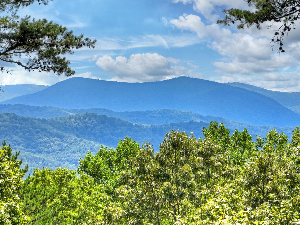 120 Foxfire Road, Blue Ridge GA 30513 — photo 3