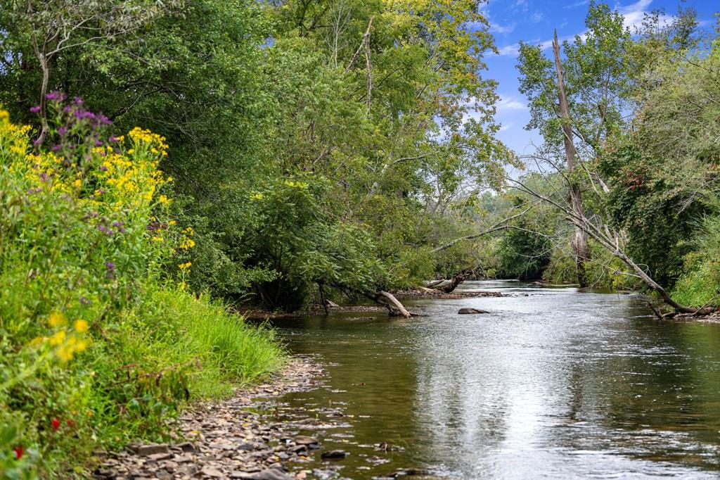 60 East Conasauga Creek — photo
