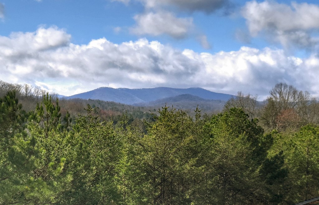 Unit 7 Grove Loop, Blue Ridge, GA 30513 — photo 2